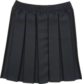 Black Box Pleated Skirt