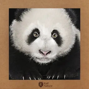 Panda Cub T-Shirt Kids