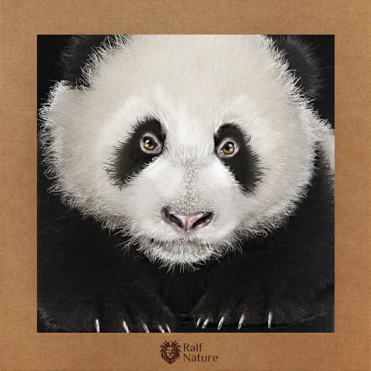 Panda Cub T-Shirt Kids