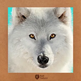 White Wolf Look T-Shirt Kids